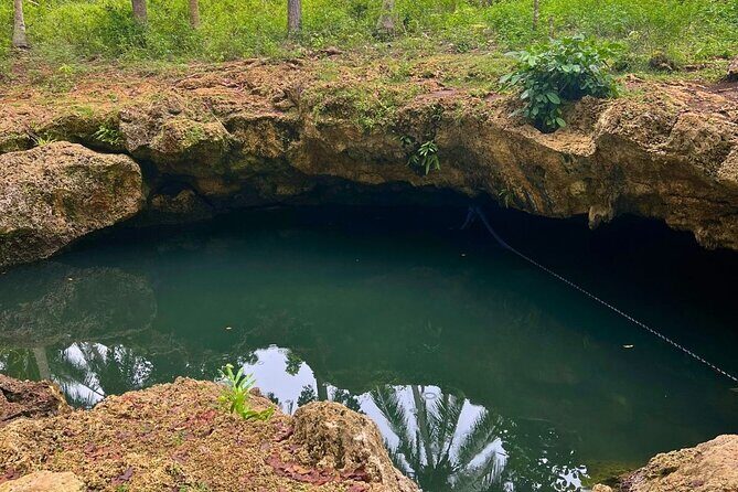 Bohol Anda, Candijay & Alicia Day Hike Private Tour - An Overview of the Experience