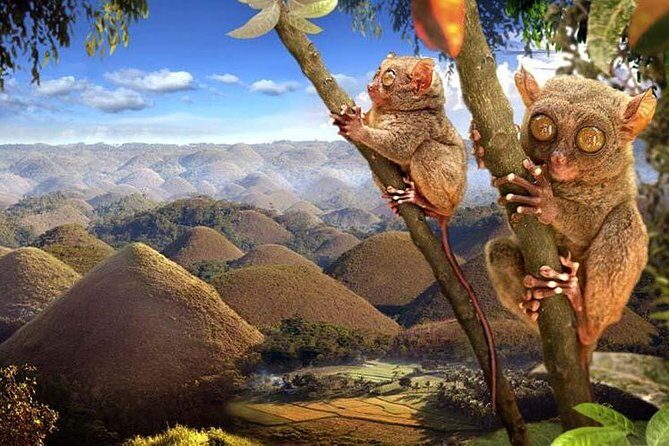 Bohol: Countryside Eco-Cultural Tour w/ Loboc River Lunch - Why This Tour Offers Great Value