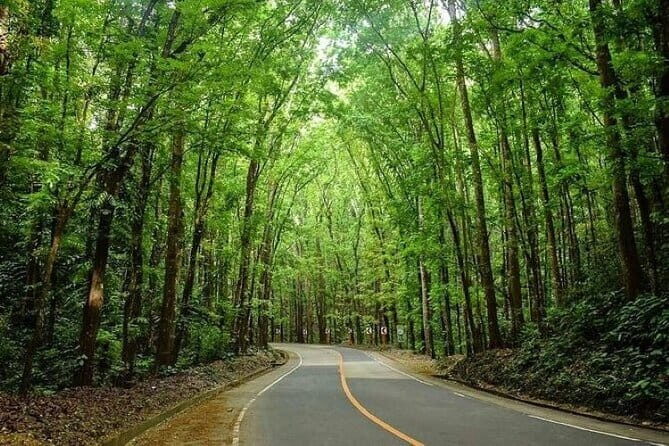 Bohol Countryside Tour with Lunch at Loboc River Cruise - Who Is This Tour Best For?