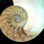 Bohol Full Package: 4 Days 3 Nights - Who Is This Tour Best For?