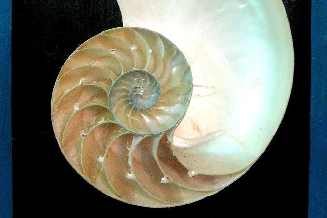 Bohol Full Package: 4 Days 3 Nights - Who Is This Tour Best For?