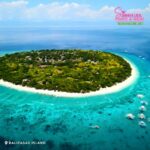 Bohol: Island Hopping with Dolphins, Turtles & Snorkeling - Why This Tour Is Worth Your Time