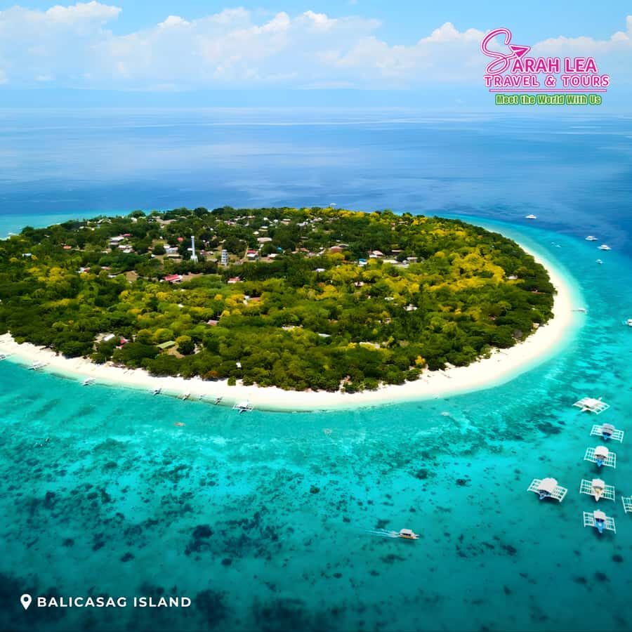 Bohol: Island Hopping with Dolphins, Turtles & Snorkeling - Why This Tour Is Worth Your Time