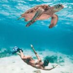 Bohol: Island Hopping with Snorkeling at Balicasag Island - Detailed Breakdown of the Itinerary