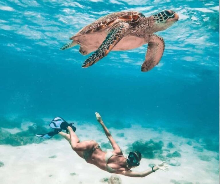 Bohol: Island Hopping with Snorkeling at Balicasag Island - Detailed Breakdown of the Itinerary