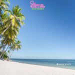 Bohol: Nature Discovery & Coastal Adventure Experience - What to Expect from the Tour