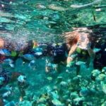 Bohol Province Balicasag Island Day Tour - The Value of the Tour