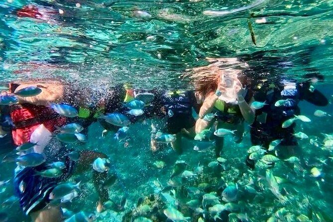 Bohol Province Balicasag Island Day Tour - The Value of the Tour