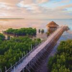 Bohol Sunset & Stories: A Bohol Evening Escape - What’s Included and Practicalities