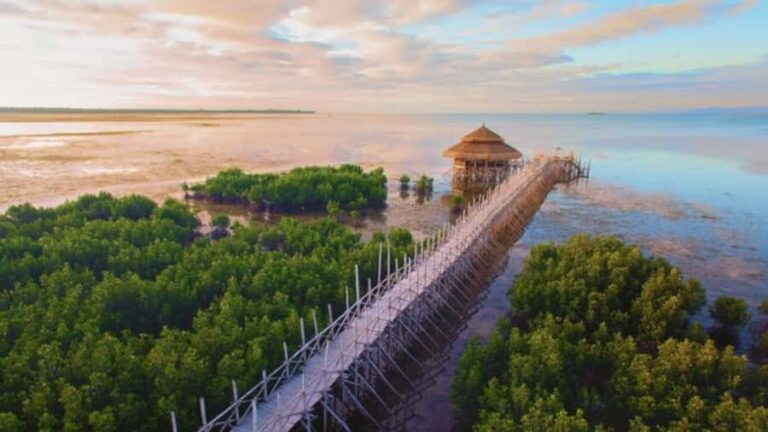 Bohol Sunset & Stories: A Bohol Evening Escape - What’s Included and Practicalities