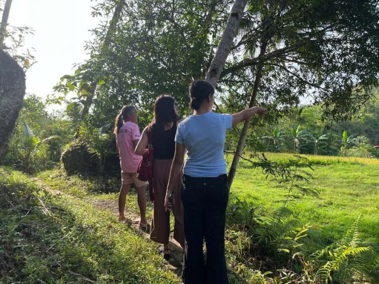 Bohol: Waterfalls, Kayak, Hills Hike, & Tarsier Eco Tour - An In-Depth Look at the Bohol Eco Tour