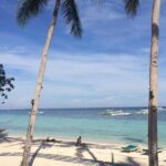Bohol's Panglao Island Half Day Land & Half Day Island Hopping (Cebu or Bohol) - Who Will Enjoy This Tour?