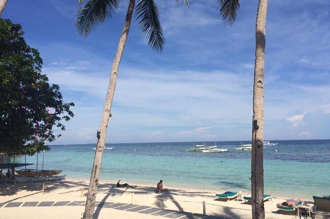 Bohol's Panglao Island Half Day Land & Half Day Island Hopping (Cebu or Bohol) - Who Will Enjoy This Tour?