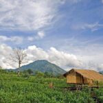 Bolaven Plateau Waterfall Trek in Pakse - The Experience in Detail
