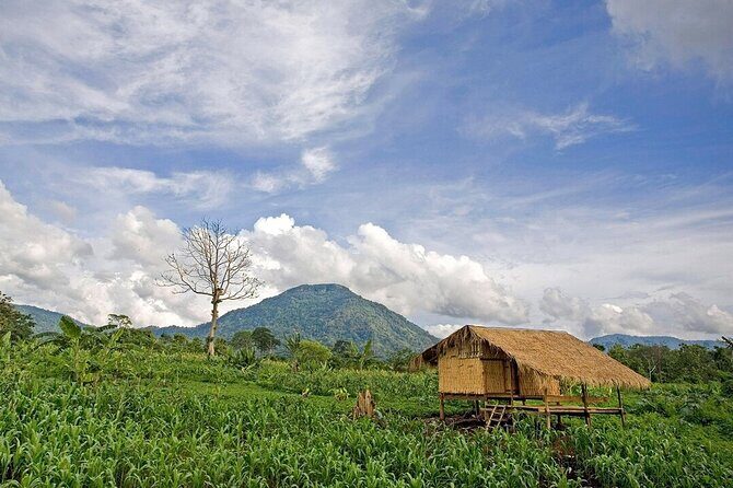 Bolaven Plateau Waterfall Trek in Pakse - The Experience in Detail
