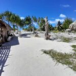 Bora Bora: Full Day in a Traditional Canoe in the Lagoon - Who Will Love This Tour?