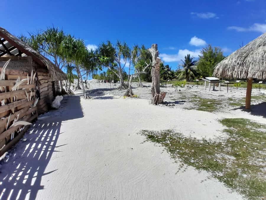 Bora Bora: Full Day in a Traditional Canoe in the Lagoon - Who Will Love This Tour?