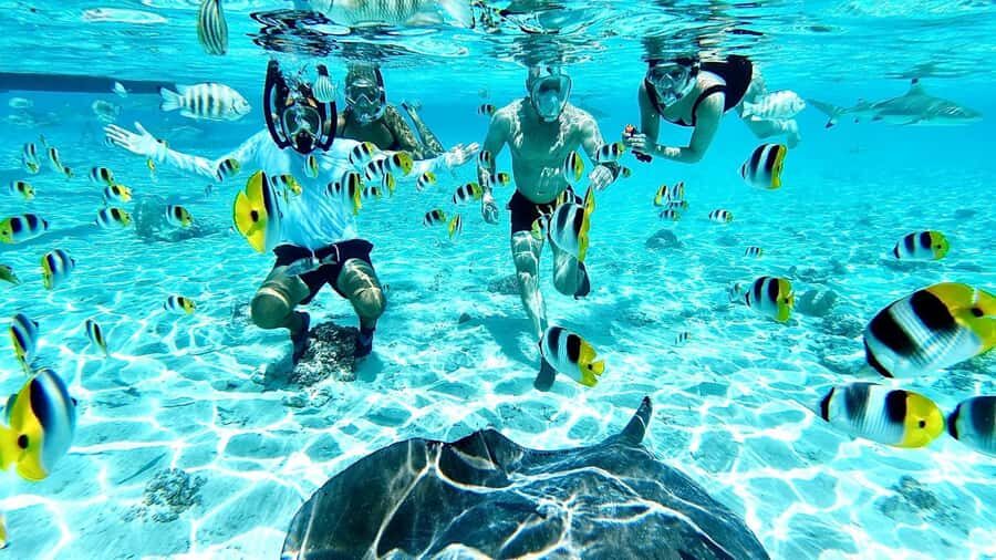 Bora Bora: Half-Day Traditional Canoe Ride in the Lagoon - What to Expect & Practical Tips