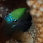 Bora Bora: Small Group Snorkeling Boat Tour with Pickup - The Value of the Experience