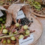 Boracay Island Foraging with Hidden Beach Experience - Practical Details and Value