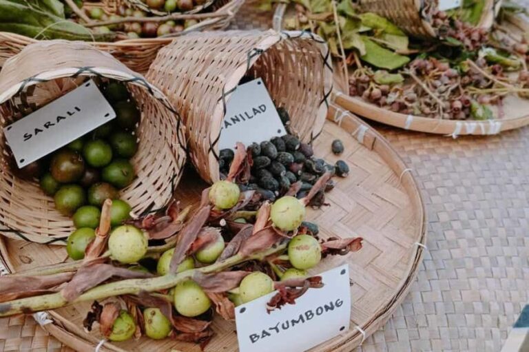 Boracay Island Foraging with Hidden Beach Experience - Practical Details and Value