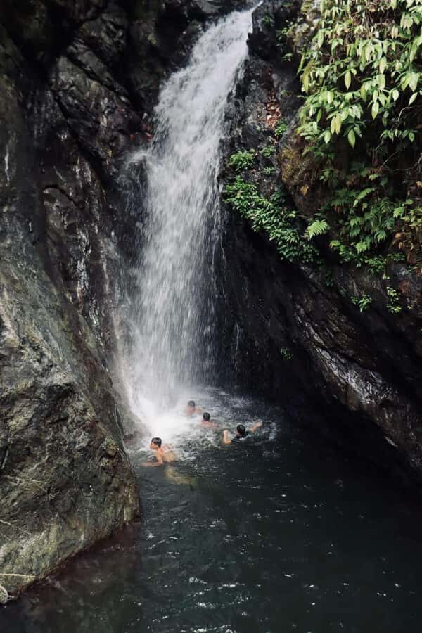 Boracay: Nagata Falls Jungle Trek with Transfers - Who Should Consider This Tour?