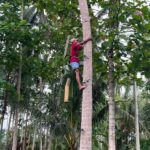 Borobudur: Cycling Tour and Explore Java Villages - How Does It Stack Up for Value?