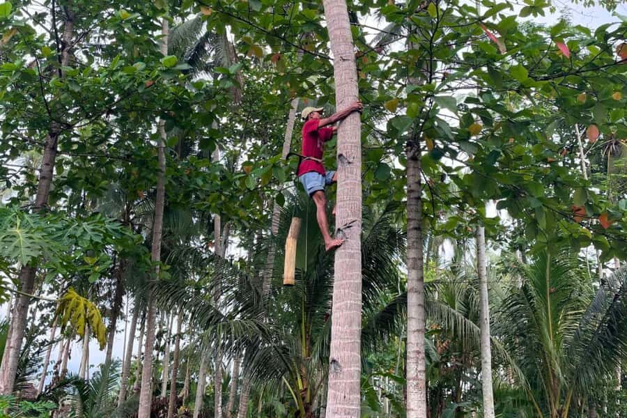 Borobudur: Cycling Tour and Explore Java Villages - How Does It Stack Up for Value?