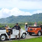 Borobudur: Private Volkswagen Thing Countryside Safari - What to Expect on the Tour
