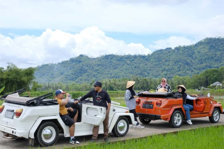 Borobudur: Private Volkswagen Thing Countryside Safari - What to Expect on the Tour
