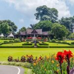 Botanical Garden And Miniature Park Of Indonesia Tour - The Experience: What You’ll Love & What to Consider
