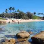 Bowen Beaches & Discovery: Top of the Whitsundays - Who Will Love This Tour?