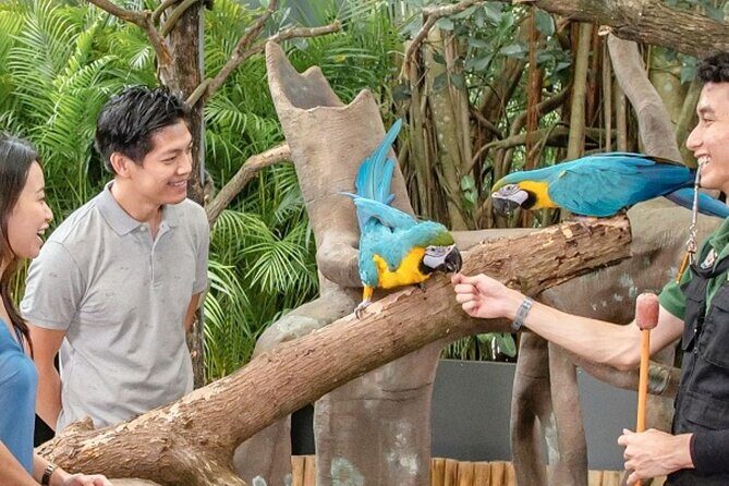 Breakfast In the Wild at Singapore Zoo Promo - Practical Considerations