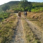 Breathe in Malinos Fresh Air & Explore the Flower City - Discovering Malino: A Natural and Cultural Escape