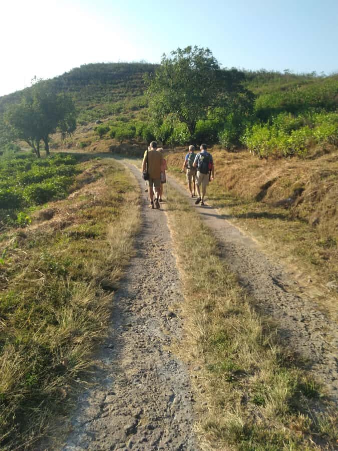 Breathe in Malinos Fresh Air & Explore the Flower City - Discovering Malino: A Natural and Cultural Escape