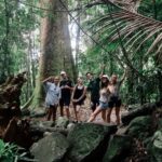 Brisbane: 6 Waterfalls, Koalas & Natural Bridge Day Tour - A Detailed Look at the Tour Experience