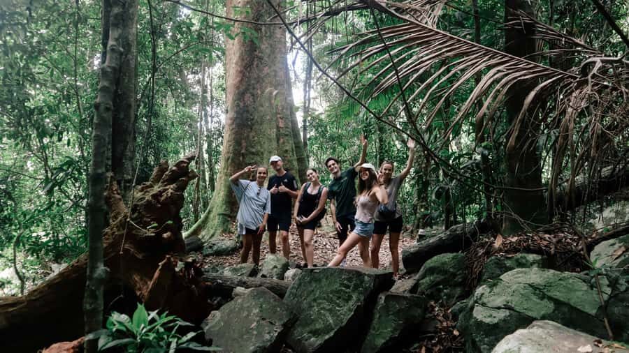 Brisbane: 6 Waterfalls, Koalas & Natural Bridge Day Tour - A Detailed Look at the Tour Experience