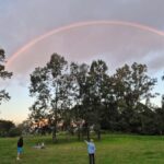Brisbane: Aboriginal Boomerang Throwing Class with Pickup - The Itinerary and Experience Breakdown