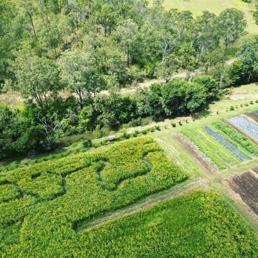 Brisbane Farm Day Trip | Ellia's Garden Scenic Rim - Why This Farm Day Trip Is Worth It