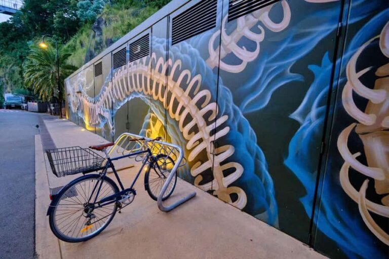 Brisbane: International Street Art Walking Tour - An In-Depth Look at the Brisbane: International Street Art Walking Tour