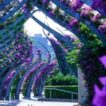 Brisbane, the River City Walking Tour - Exploring South Bank and the Cultural Centre