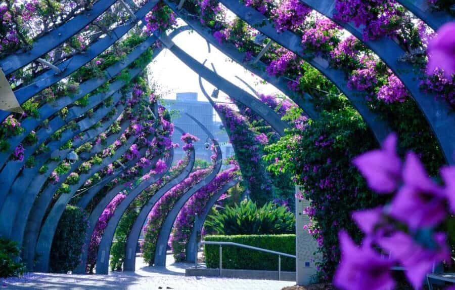 Brisbane, the River City Walking Tour - Exploring South Bank and the Cultural Centre