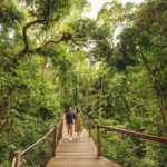 Brisbane to Daintree Whitsundays & Reef 9 Day Comfort Tour - Transportation, Accommodation & Value