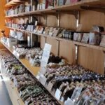 Bruny Island Day Tour Scenic Views And Local Tastings - The Complete Breakdown of the Bruny Island Day Tour