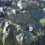 Bukhara: Sarmish-Soy Gorge Petroglyphs Day Trip - Transportation and Guide Quality