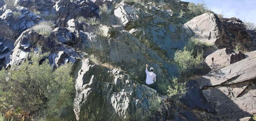 Bukhara: Sarmish-Soy Gorge Petroglyphs Day Trip - Transportation and Guide Quality