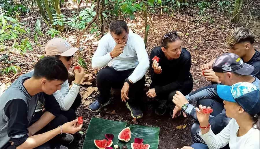 Bukit Lawang: Eco-Friendly Jungle Trek with Orangutans - The Itinerary in Detail