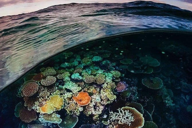 Bunaken Island three-point snorkeling includes lunch and shuttle - Overview of Bunaken Island and Marine Park