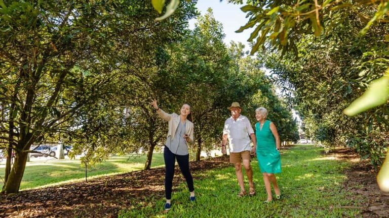 Bundaberg: Macadamia Orchard Tour - The Experience Beyond the Tour