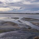 Bundala National Park Private Safari - Who Should Book This Tour?